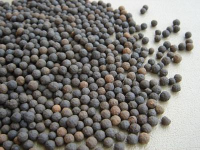 ���������V�ϵ���;